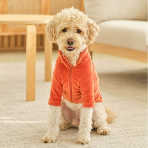 3마일즈 벨로아 집 자켓 시리즈 3가지 색상 4가지 사이즈 애완 용품 강아지 옷